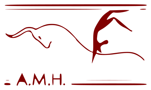 Heraklion Archaeological Museum